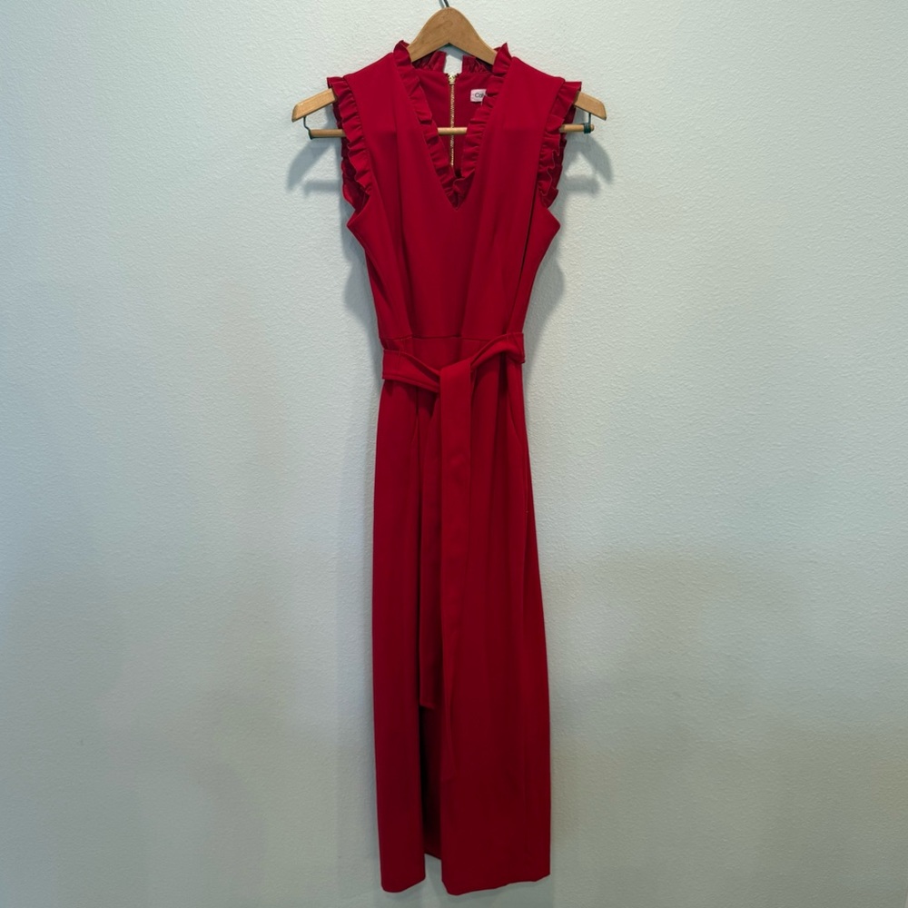 Calvin Klein Red ❤️ Sleeveless Jumpsuit • Size 4 • Like New - Picture 9 of 16